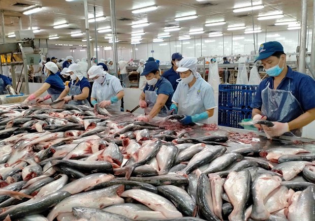 Dix-neuf usines de pangasius éligibles à exporter vers les États-Unis